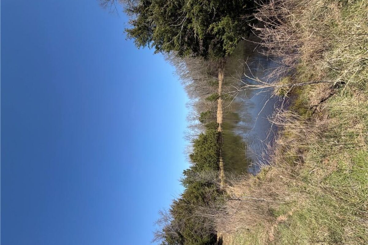 3348 Madison 6351 in Wesley, AR. Land